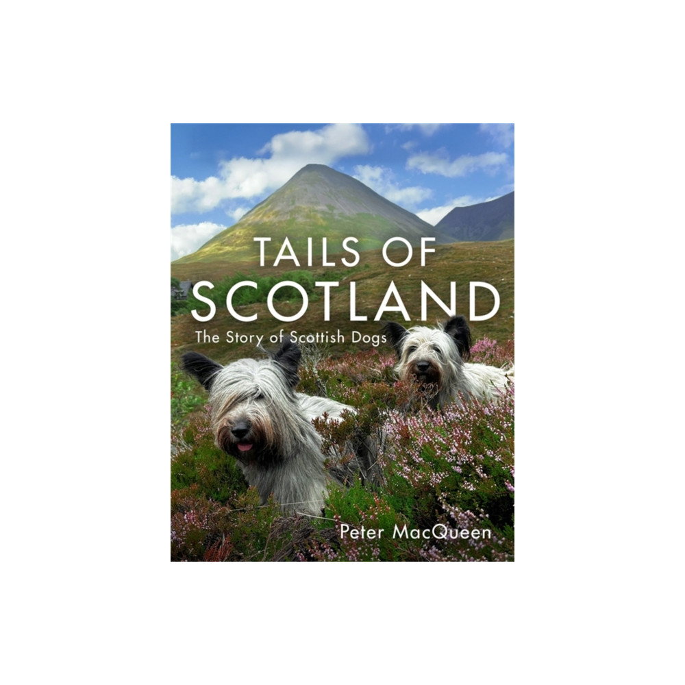 Produktbild för Tails of Scotland (inbunden, eng)
