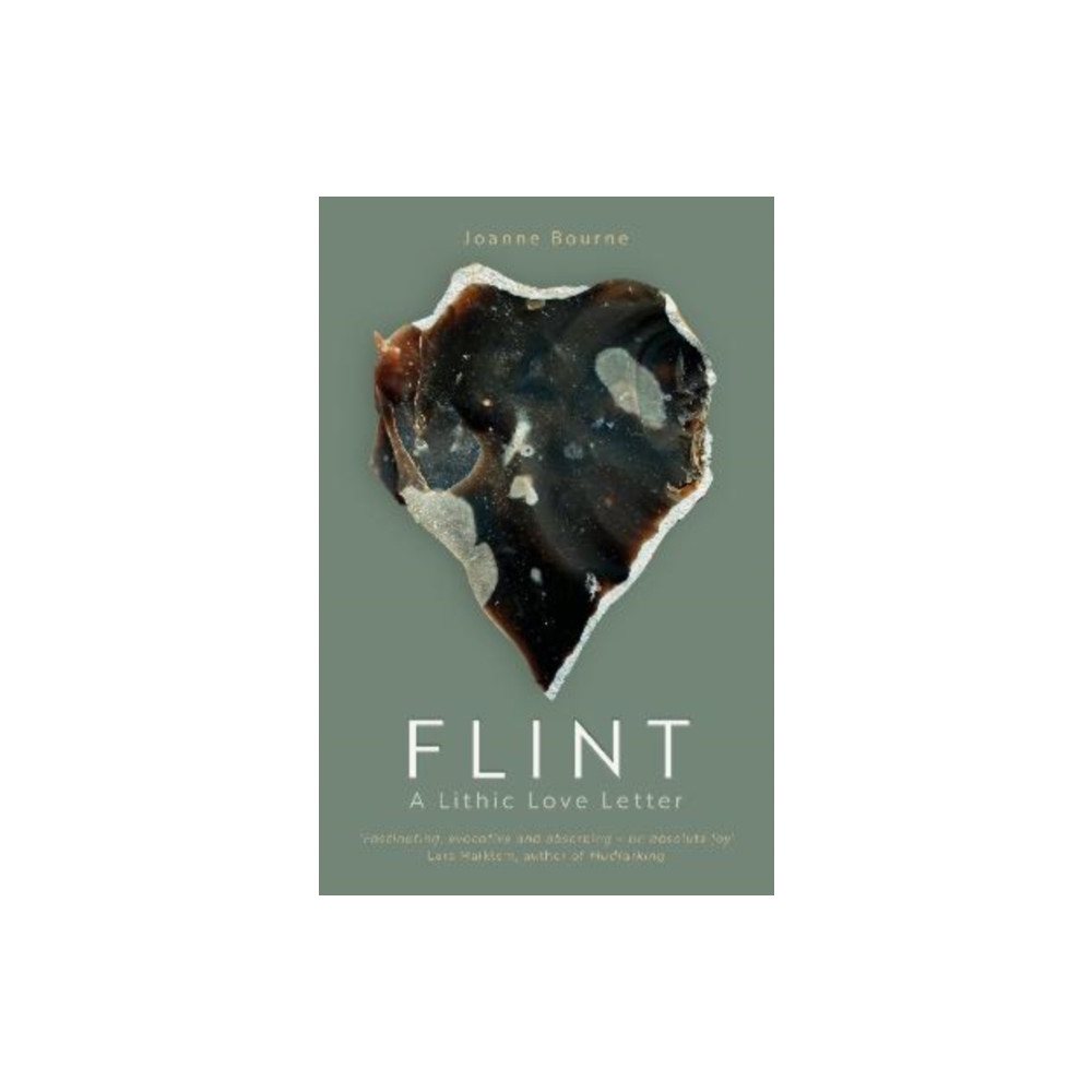 Produktbild för Flint (häftad, eng)
