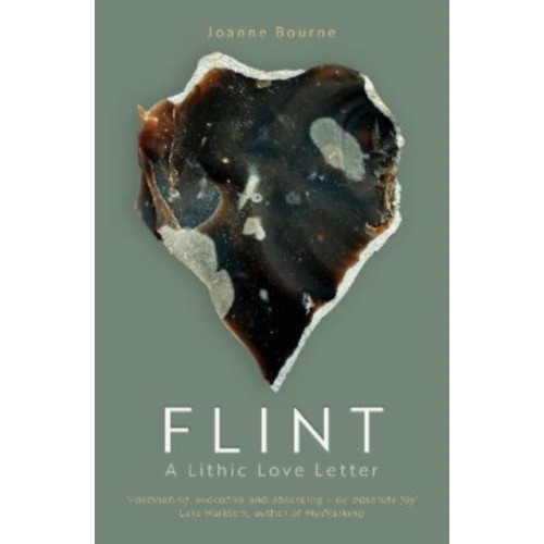 Eye Books Flint (häftad, eng)