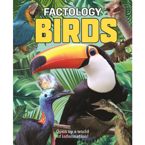 Button Books Factology: Birds (inbunden, eng)
