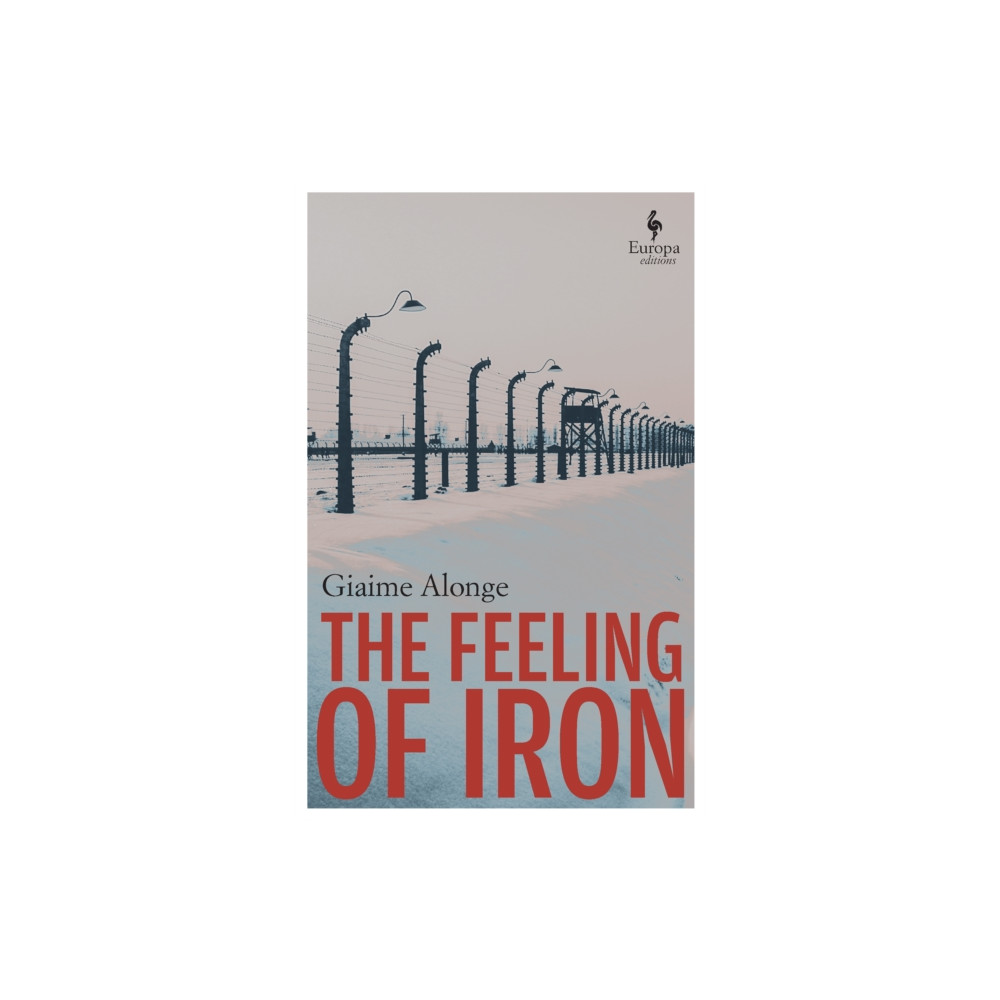 Produktbild för The Feeling of Iron (häftad, eng)