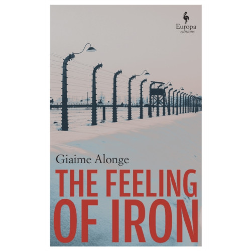 Europa Editions (UK) Ltd The Feeling of Iron (häftad, eng)