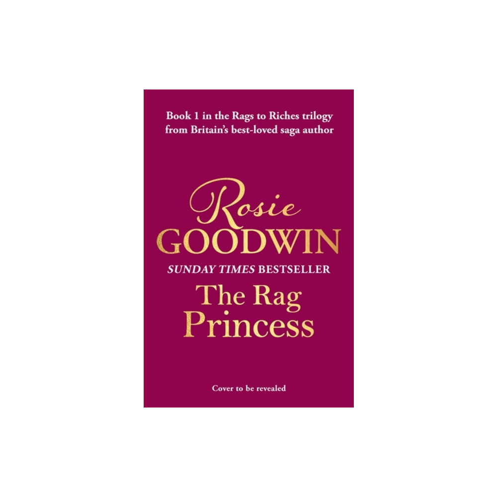 Produktbild för The Rag Princess (inbunden, eng)