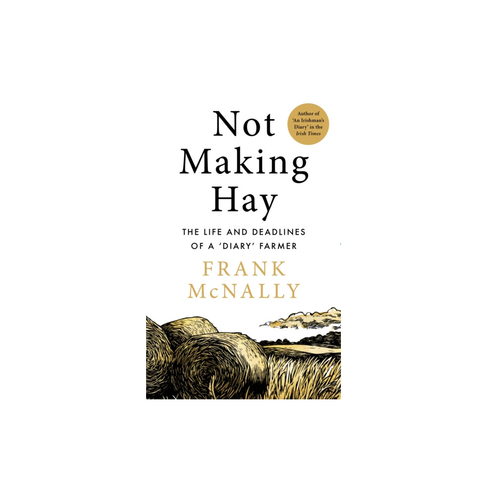 Produktbild för Not Making Hay (inbunden, eng)