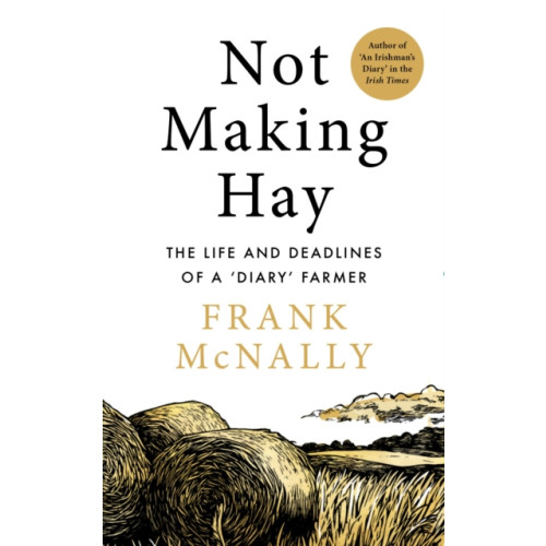 Gill Not Making Hay (inbunden, eng)