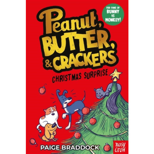 Nosy Crow Ltd Christmas Surprise (häftad, eng)