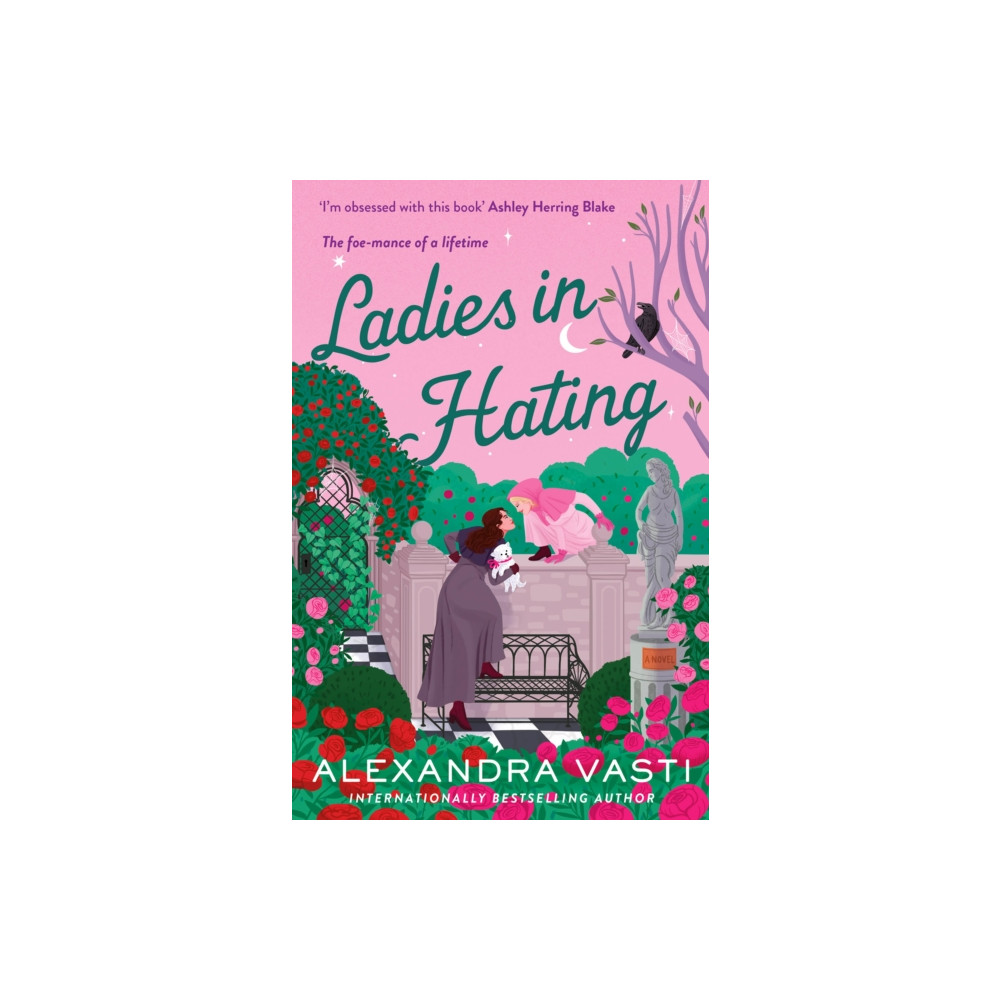 Produktbild för Ladies in Hating (häftad, eng)