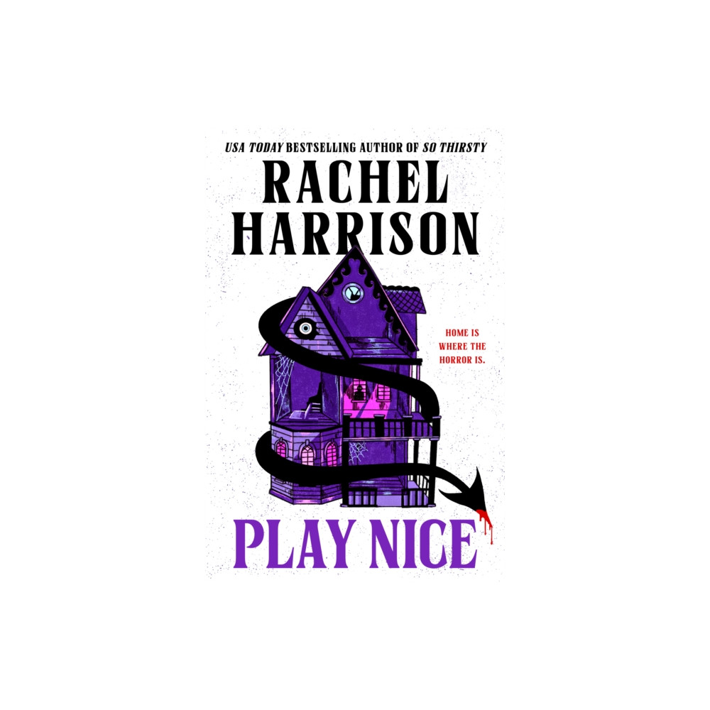 Produktbild för Play Nice (häftad, eng)