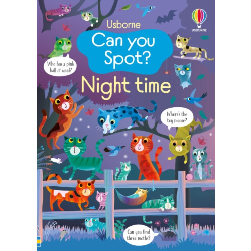 Usborne Publishing Ltd Can you Spot? Night time (häftad, eng)