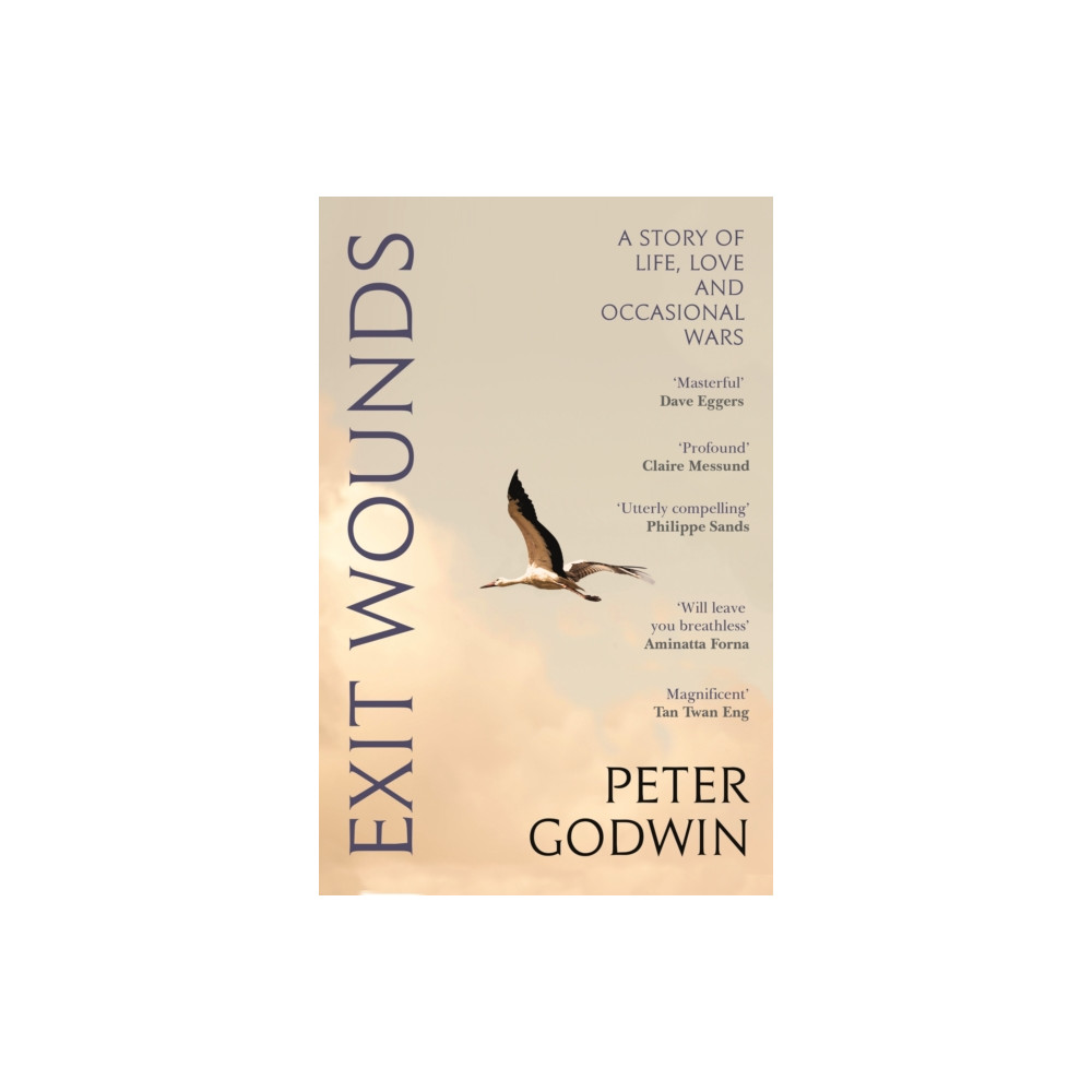 Produktbild för Exit Wounds (häftad, eng)
