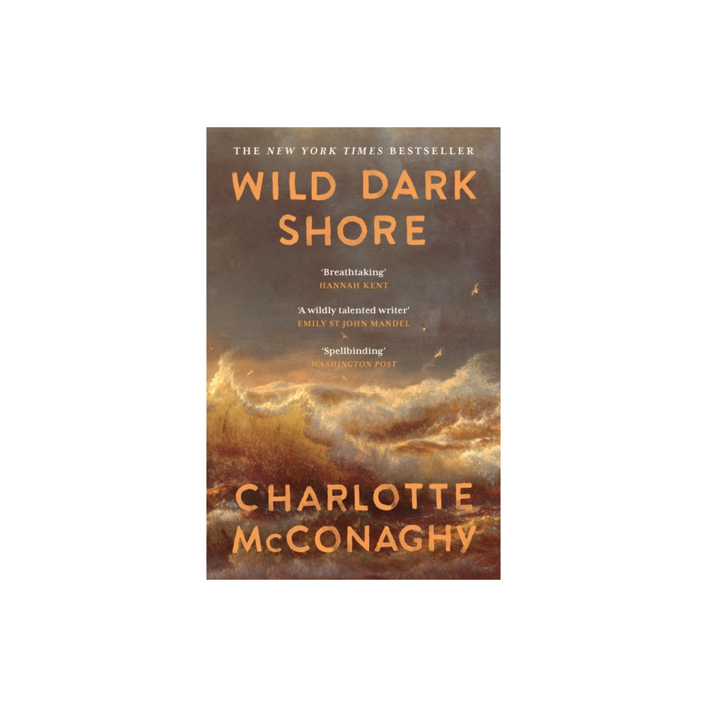 Produktbild för Wild Dark Shore (häftad, eng)