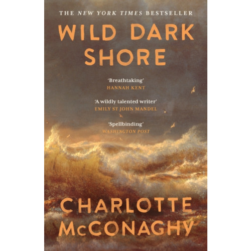 Canongate Books Wild Dark Shore (häftad, eng)