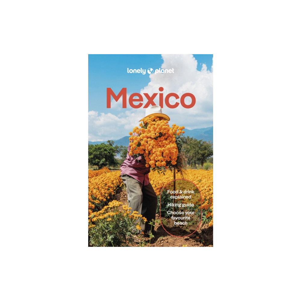 Produktbild för Lonely Planet Mexico (häftad, eng)