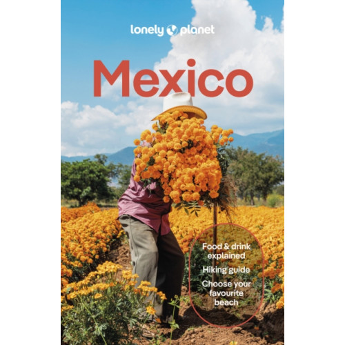 Lonely Planet Global Limited Lonely Planet Mexico (häftad, eng)