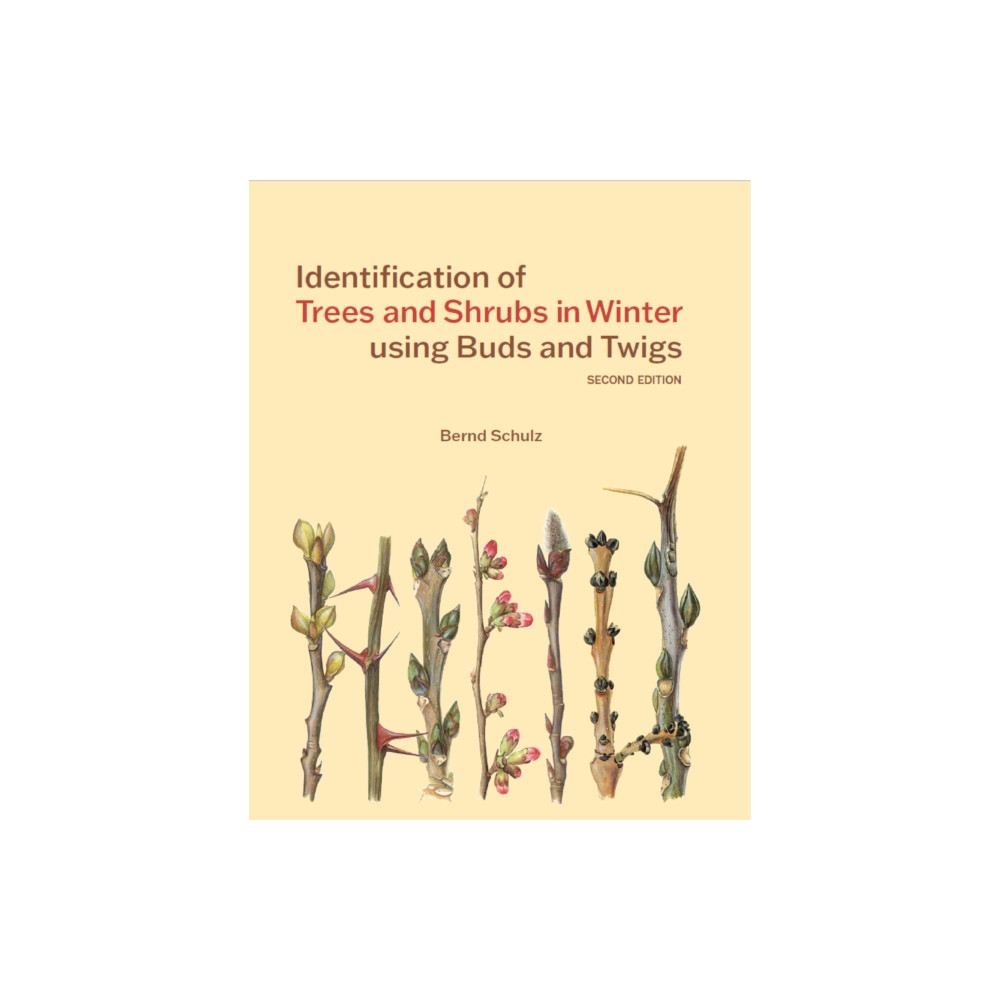 Produktbild för Identification of Trees and Shrubs in Winter using Buds and Twigs (häftad, eng)