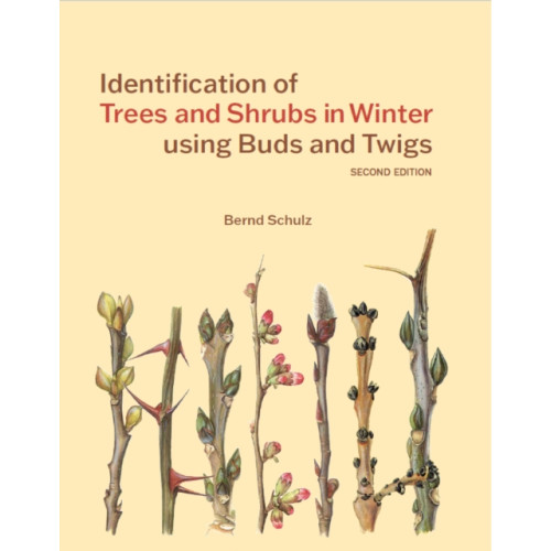 Royal Botanic Gardens Identification of Trees and Shrubs in Winter using Buds and Twigs (häftad, eng)