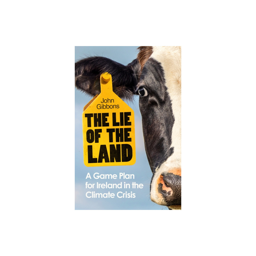 Produktbild för The Lie of the Land (häftad, eng)