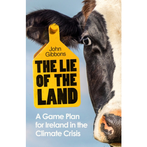 Penguin books ltd The Lie of the Land (häftad, eng)