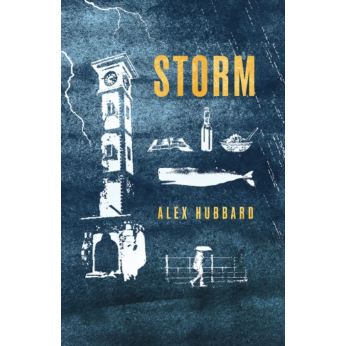Poetry Wales Press Storm (häftad, eng)