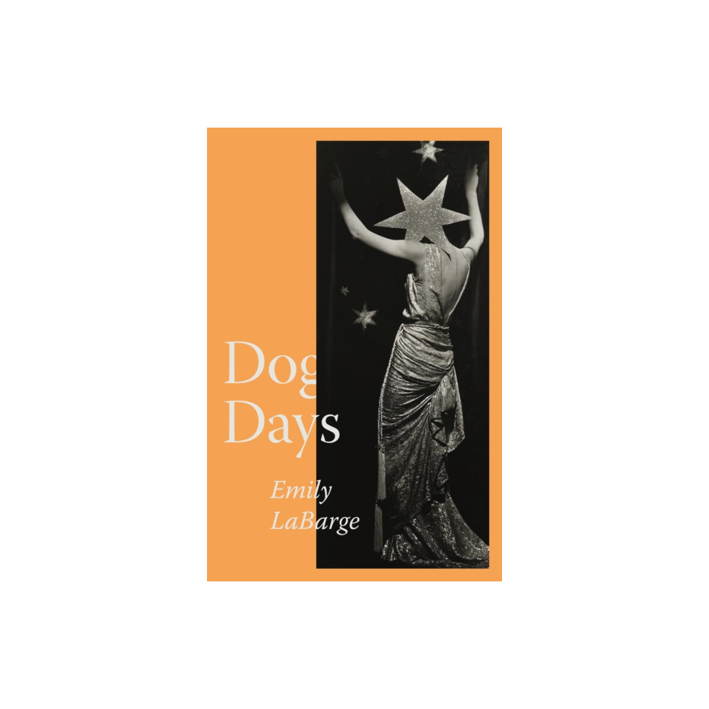 Produktbild för Dog Days (häftad, eng)