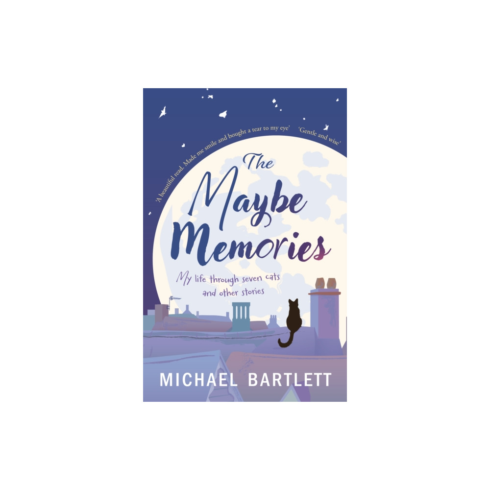 Produktbild för The Maybe Memories (häftad, eng)