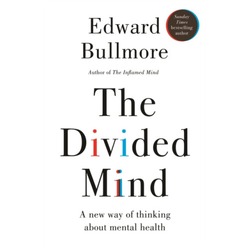 New River Books Ltd The Divided Mind (inbunden, eng)