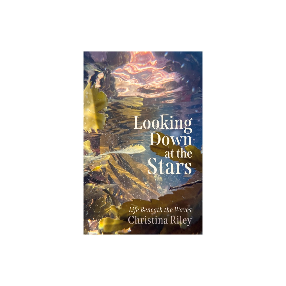 Produktbild för Looking Down at the Stars (inbunden, eng)