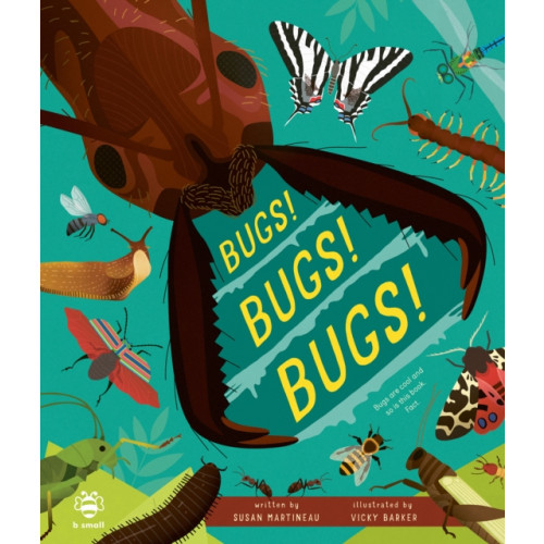 b small publishing limited Bugs! Bugs! Bugs! (inbunden, eng)