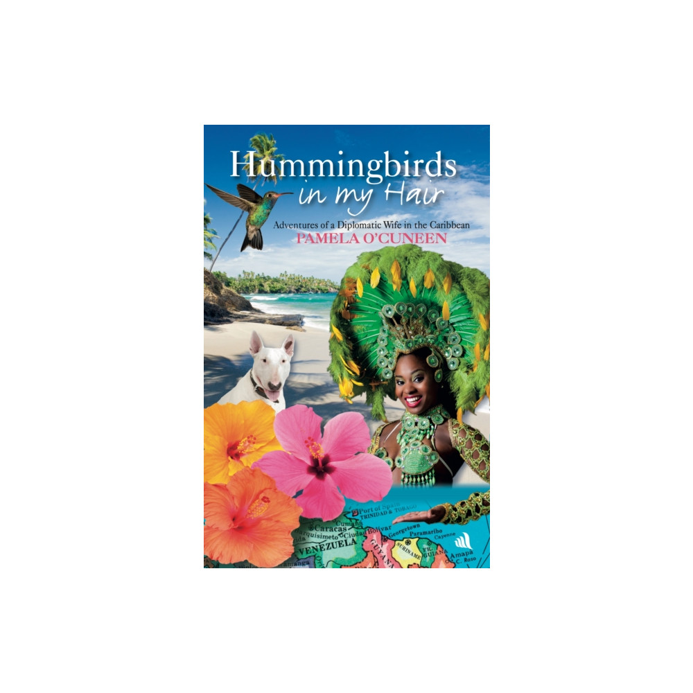 Produktbild för Hummingbirds in My Hair (häftad, eng)