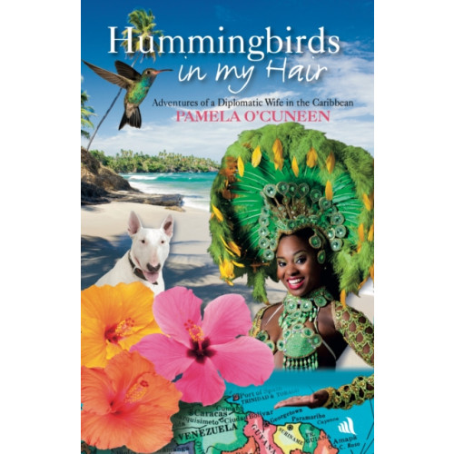 Chiselbury Publishing Hummingbirds in My Hair (häftad, eng)