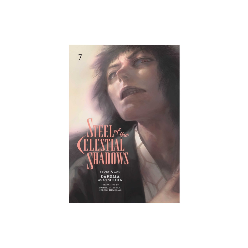 Produktbild för Steel of the Celestial Shadows, Vol. 7 (häftad, eng)