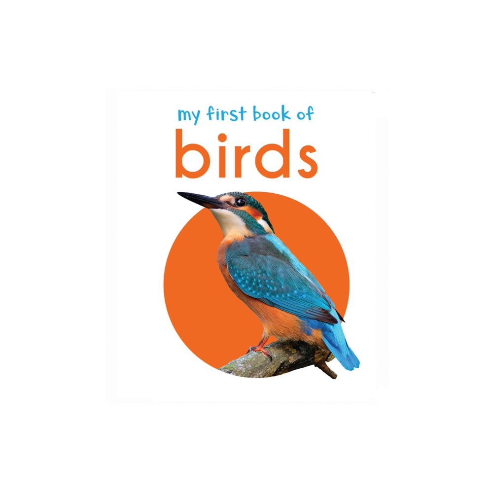 Produktbild för My First Book of Birds (inbunden, eng)