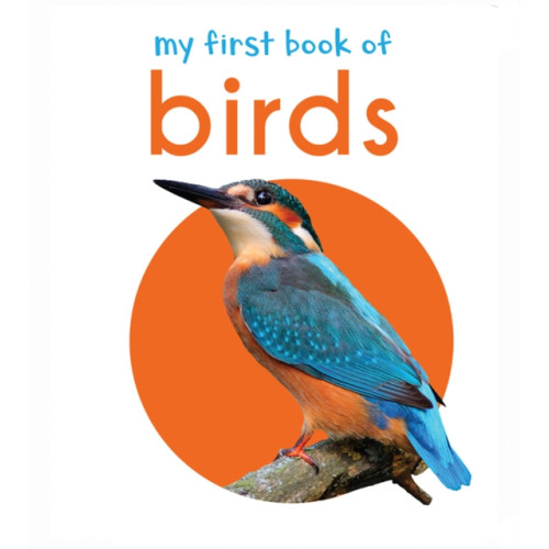 Prakash Books My First Book of Birds (inbunden, eng)