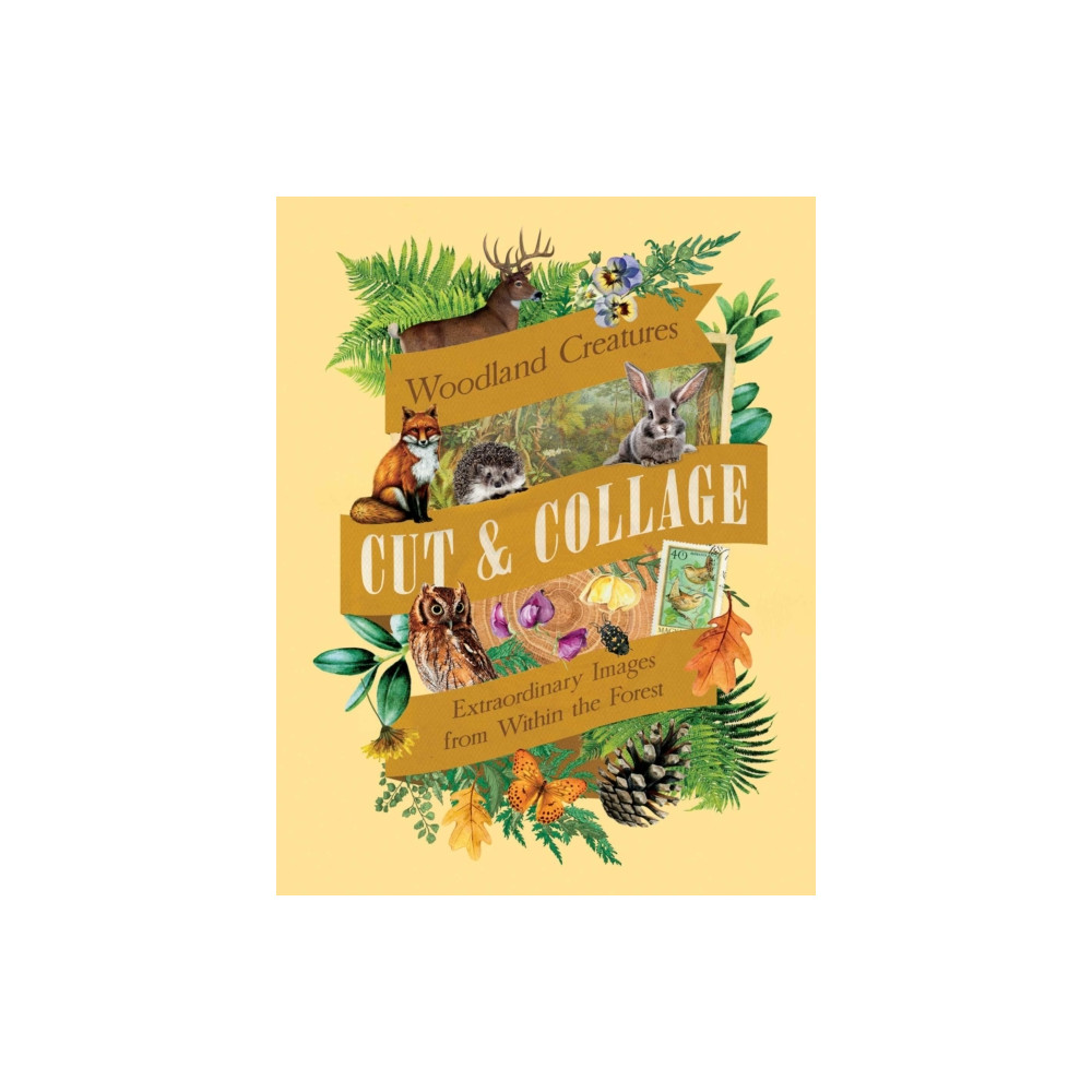 Produktbild för Cut & Collage Woodland Creatures (häftad, eng)