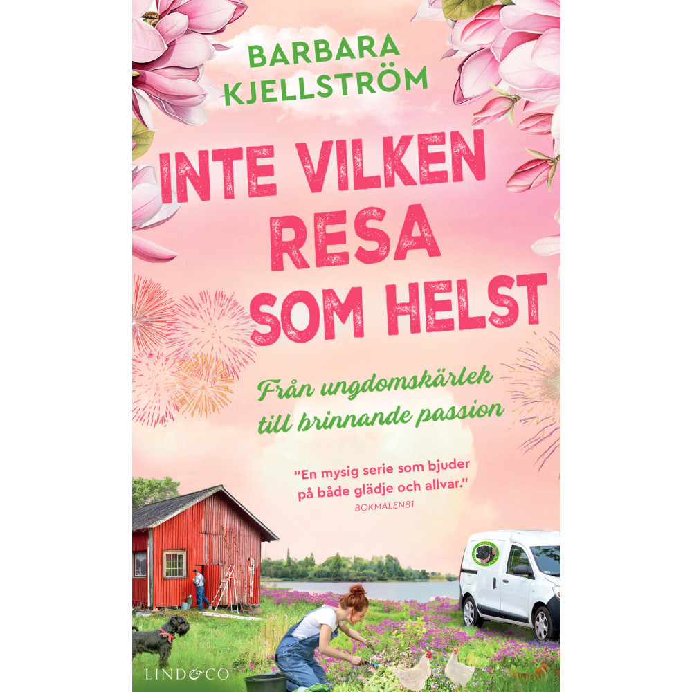 Produktbild för Inte vilken resa som helst : från ungdomskärlek till brinnande passion (pocket)