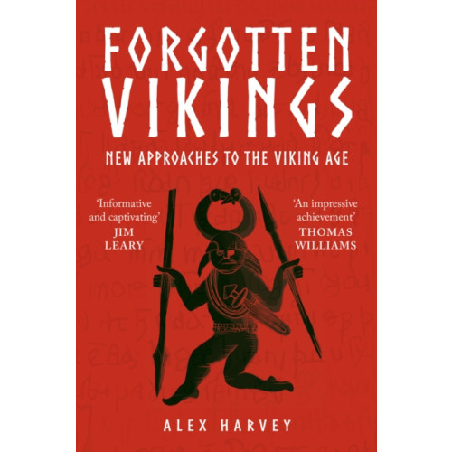 Amberley Publishing Forgotten Vikings (häftad, eng)