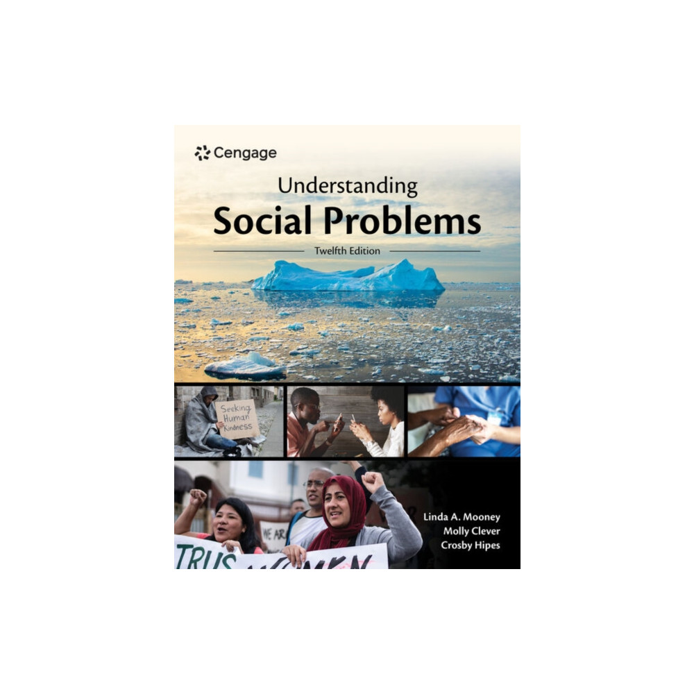 Produktbild för Understanding Social Problems (häftad, eng)