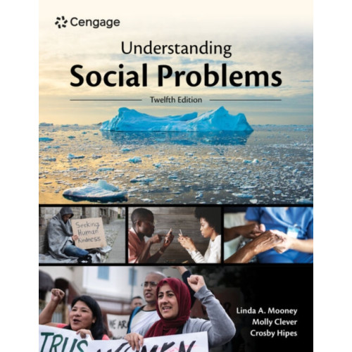 Cengage Learning, Inc Understanding Social Problems (häftad, eng)