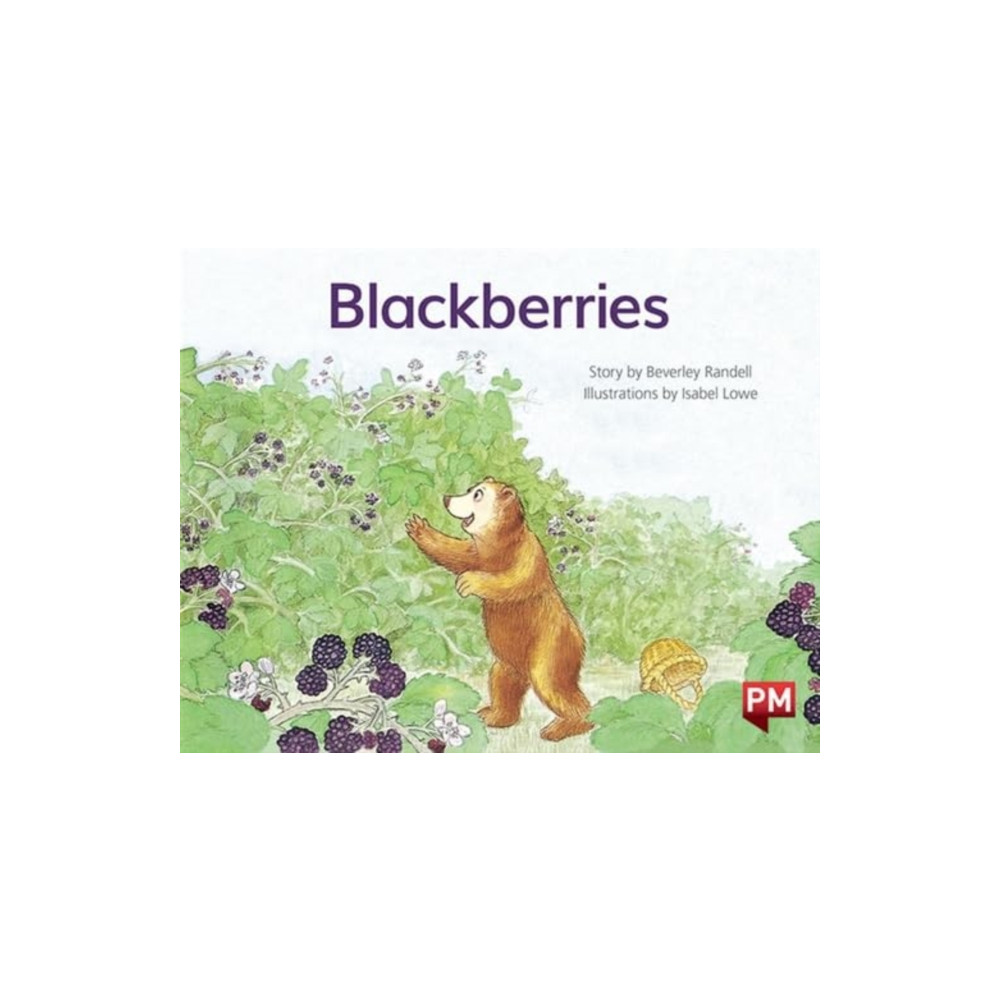 Produktbild för PM YELLOW BLACKBERRIES PM STORYBOOKS LEV (häftad, eng)
