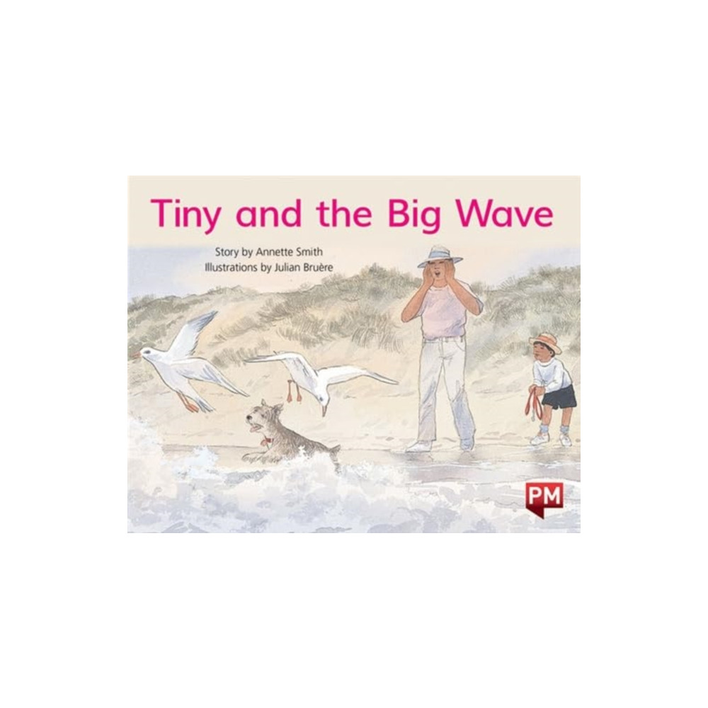 Produktbild för PM YELLOW TINY & THE BIG WAVE PM STORYBO (häftad, eng)