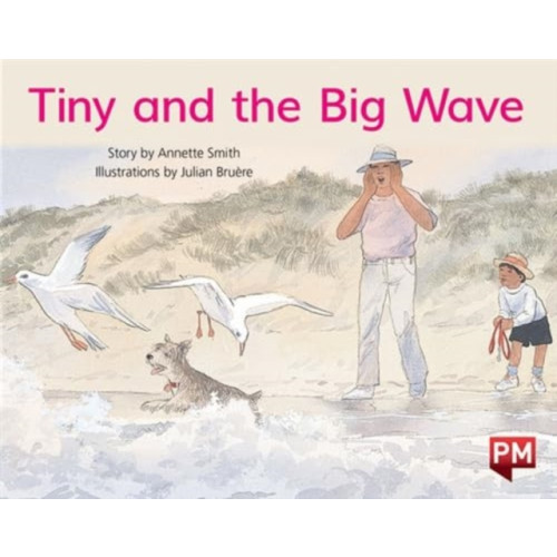 SCHOLASTIC LTD PM YELLOW TINY & THE BIG WAVE PM STORYBO (häftad, eng)
