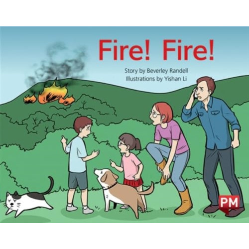 SCHOLASTIC LTD PM YELLOW FIRE FIRE PM STORYBOOKS LEVEL (häftad, eng)