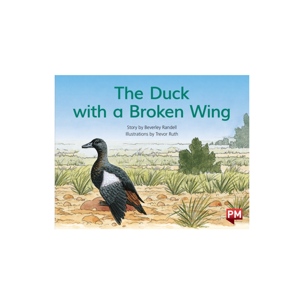 Produktbild för PM BLUE THE DUCK WITH A BROKEN WING PM S (häftad, eng)