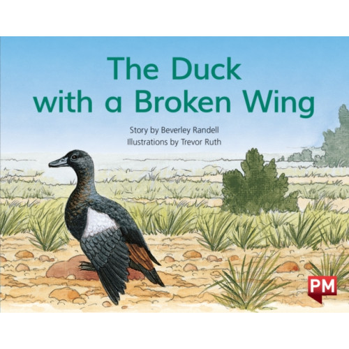 SCHOLASTIC LTD PM BLUE THE DUCK WITH A BROKEN WING PM S (häftad, eng)