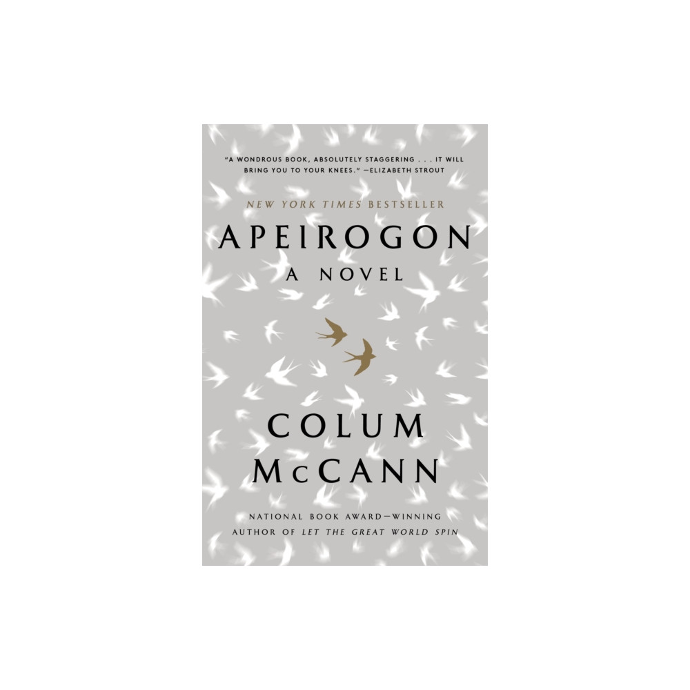 Produktbild för Apeirogon: A Novel (häftad, eng)