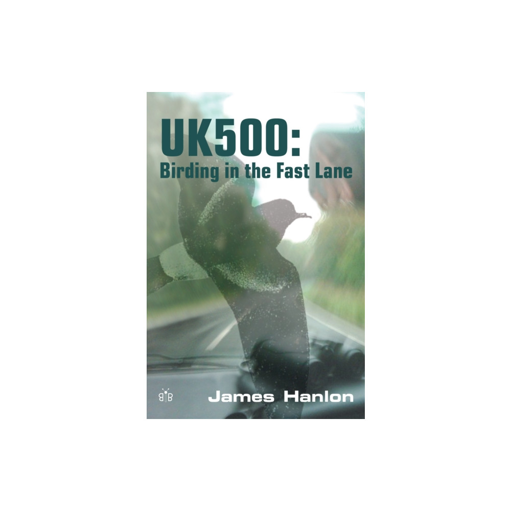 Produktbild för UK500: Birding in the Fast Lane (häftad, eng)