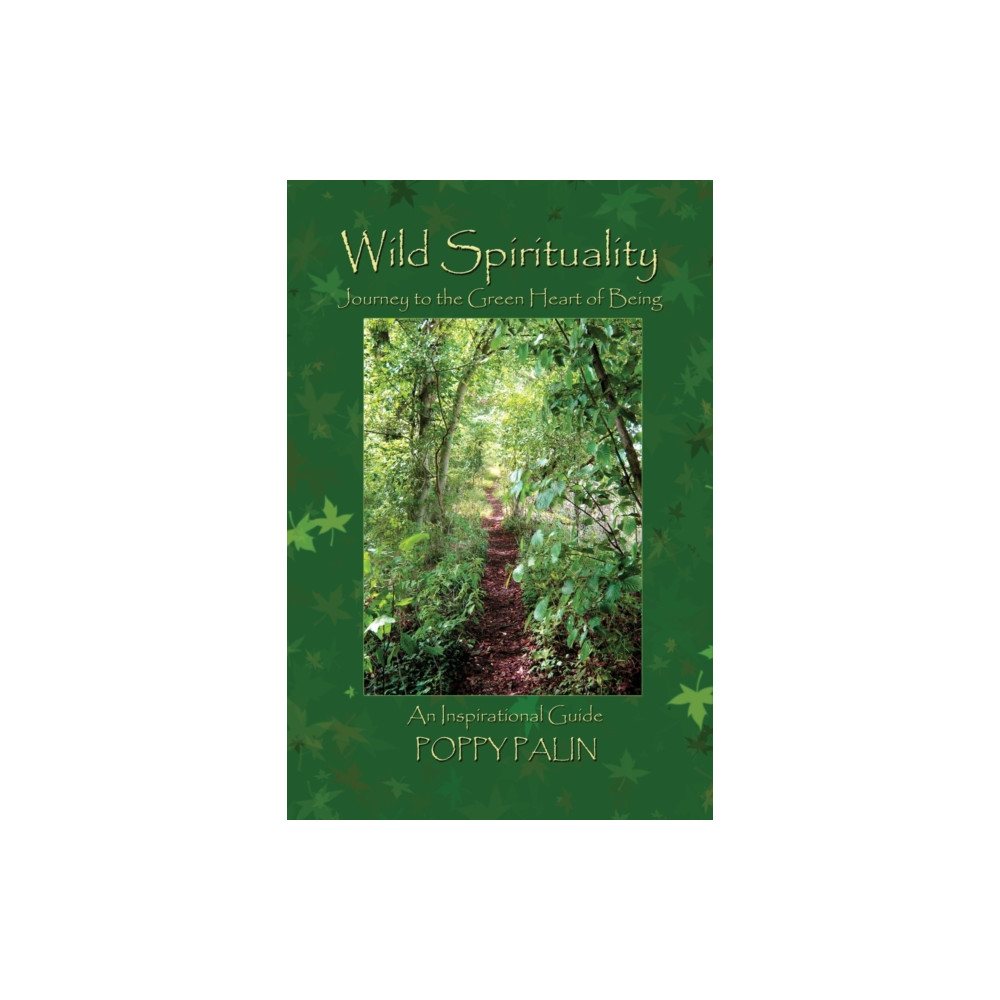 Produktbild för Wild Spirituality (häftad, eng)