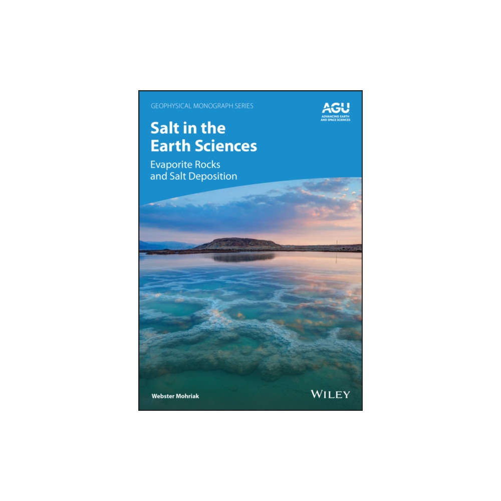 Produktbild för Salt in the Earth Sciences (inbunden, eng)