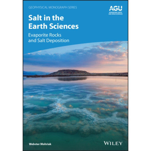 John Wiley & Sons Inc Salt in the Earth Sciences (inbunden, eng)