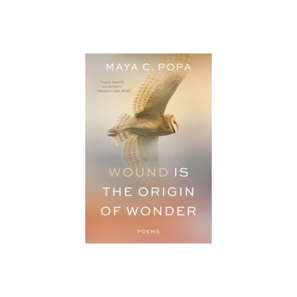 Produktbild för Wound Is the Origin of Wonder (häftad, eng)